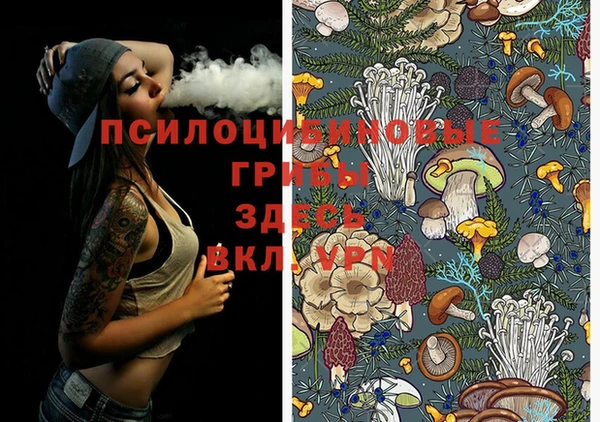 spice Аркадак