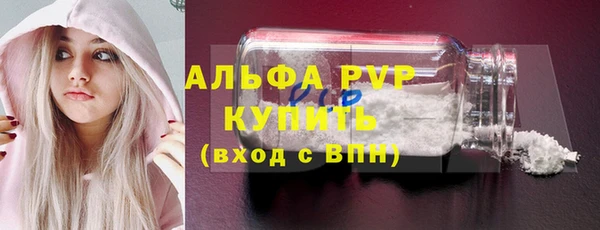 spice Аркадак