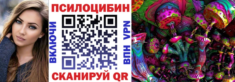 закладка  Волгоград  Псилоцибиновые грибы Magic Shrooms 